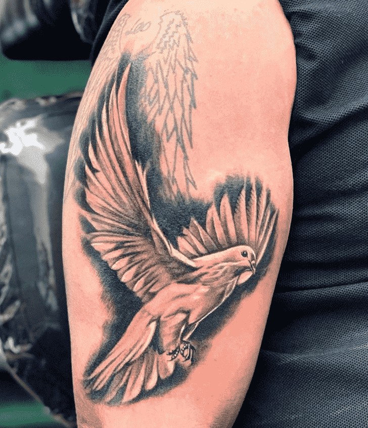 Dove Tattoo Picture