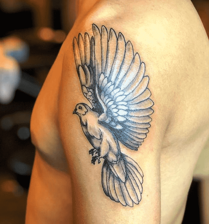 Dove Tattoo Snapshot