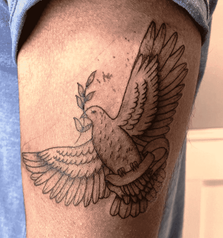 Dove Tattoo Portrait