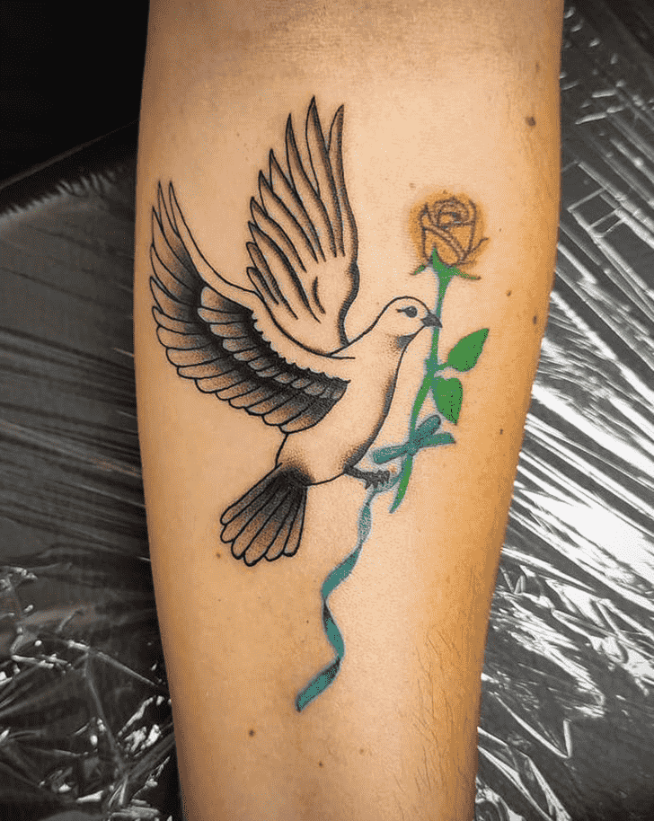 Dove Tattoo Picture