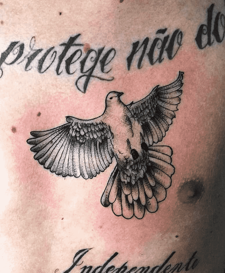 Dove Tattoo Photos