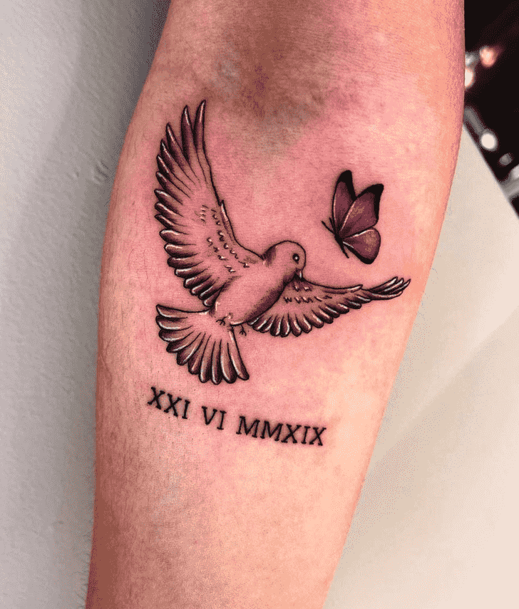 Dove Tattoo Picture