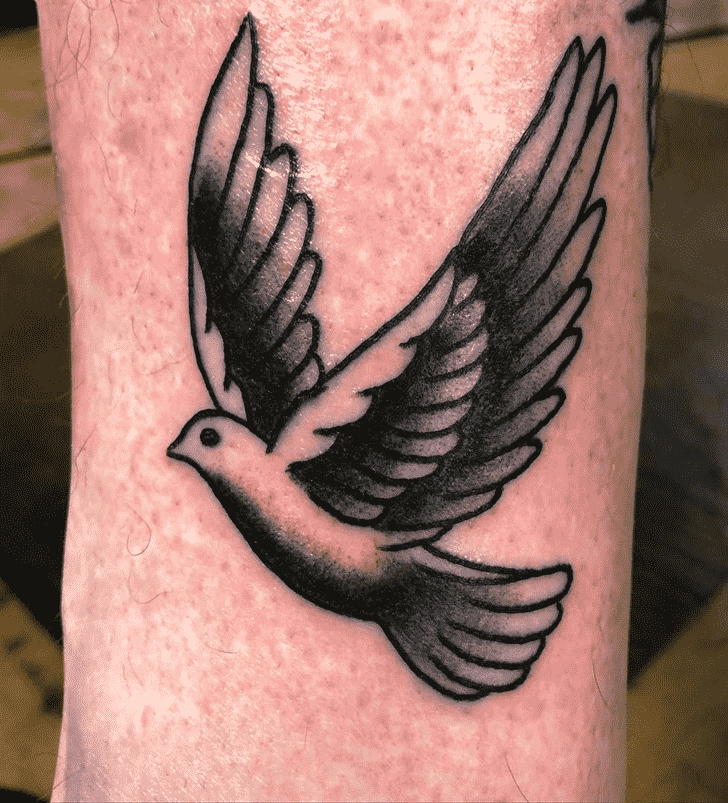 Dove Tattoo Photo