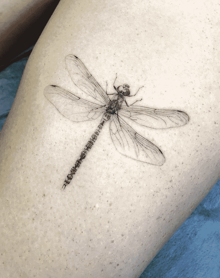 Dragonfly Tattoo Photo