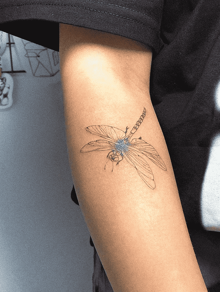 Dragonfly Tattoo Snapshot