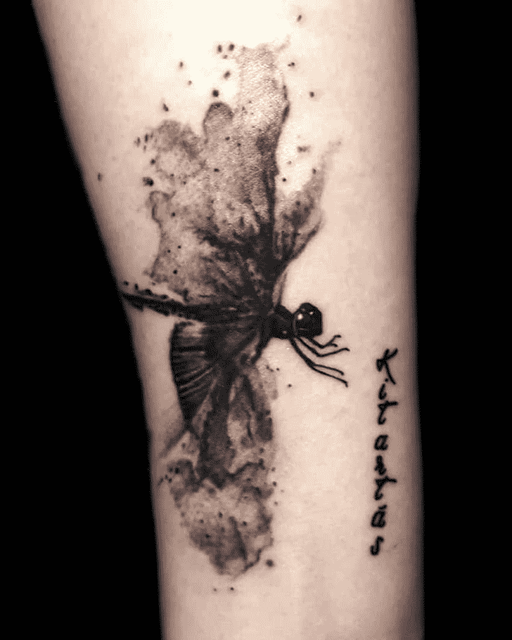 Dragonfly Tattoo Snapshot