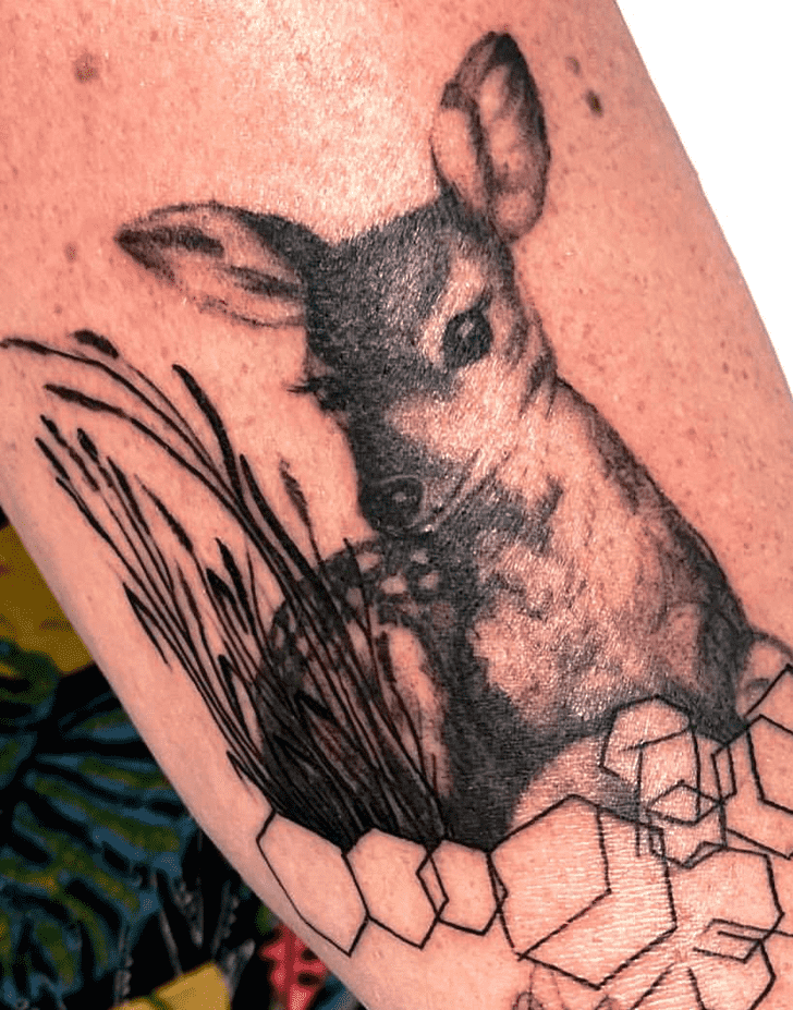 Fawn Tattoo Photograph