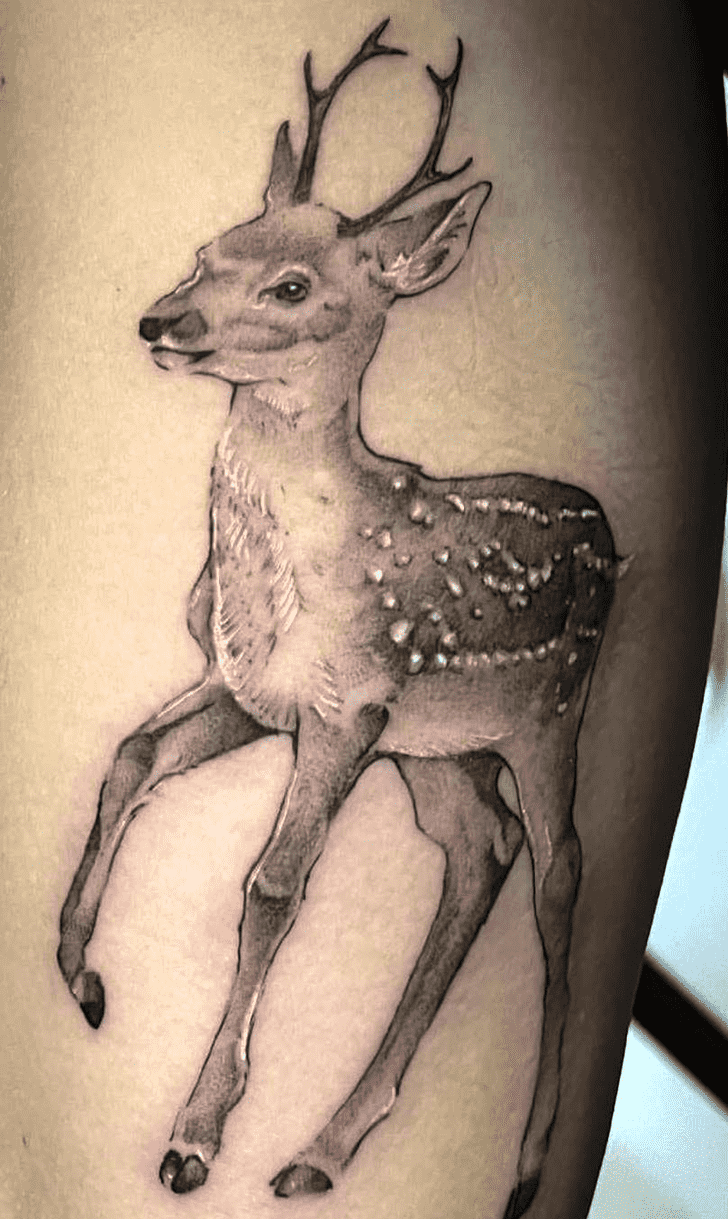 Fawn Tattoo Portrait