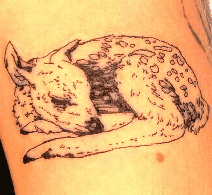 Fawn Tattoo Photo