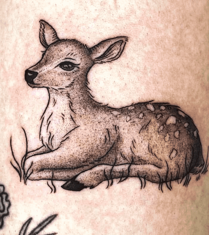 Fawn Tattoo Shot