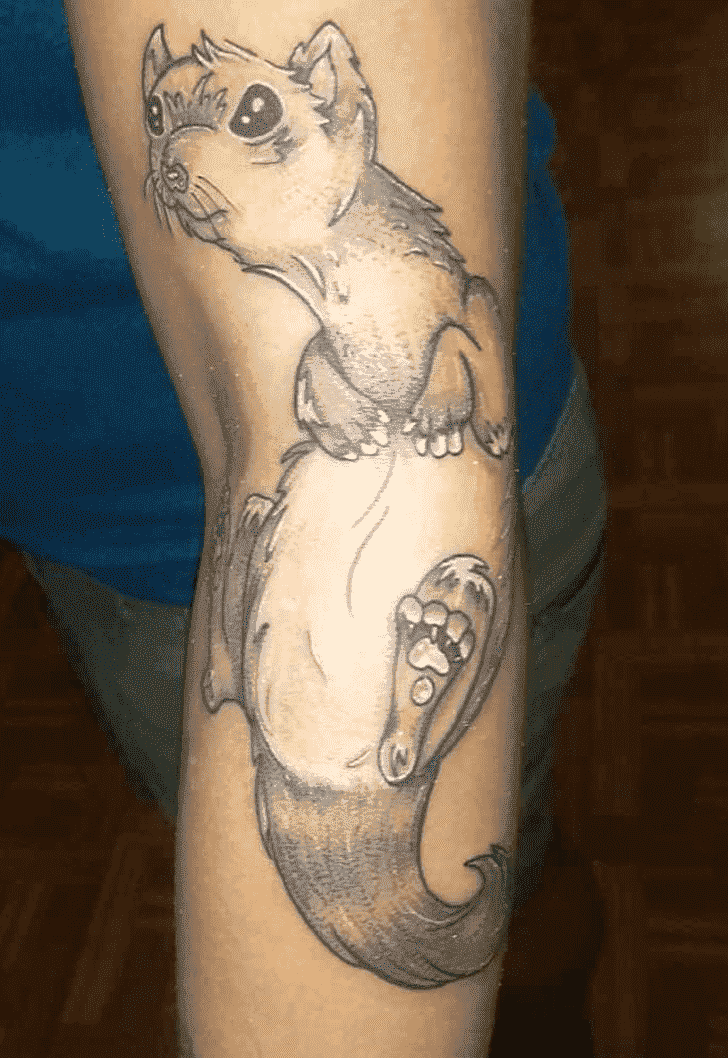 Ferret Tattoo Photograph