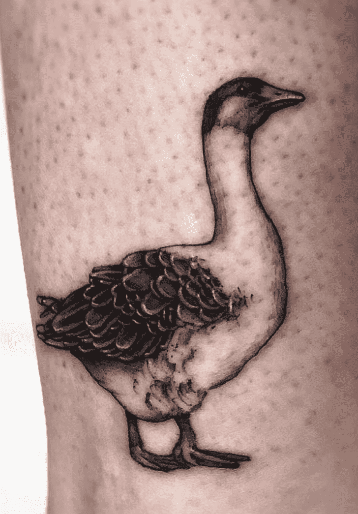 Goose Tattoo Photograph