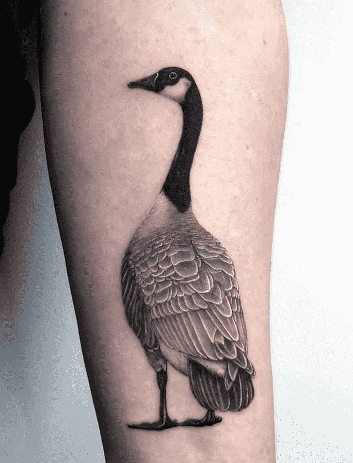 Goose Tattoo Snapshot