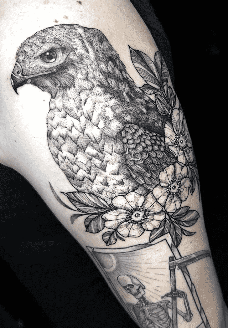 Hawk Tattoo Picture