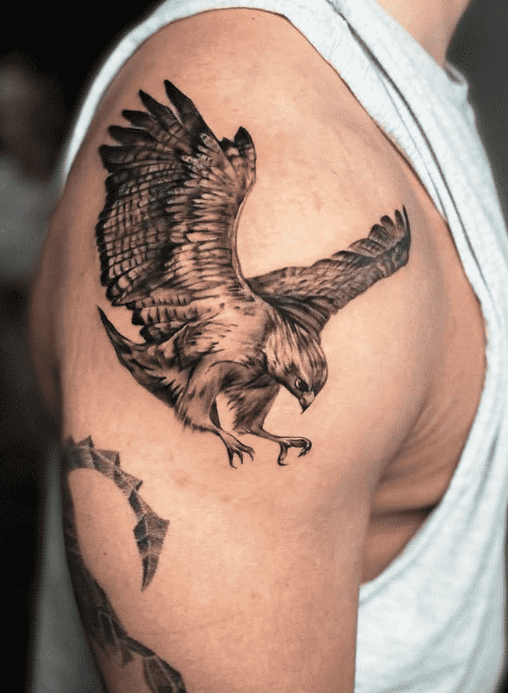 Hawk Tattoo Photos