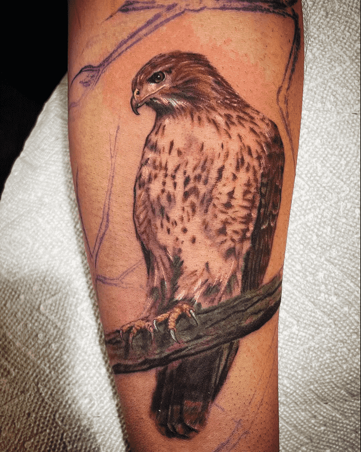 Hawk Tattoo Figure