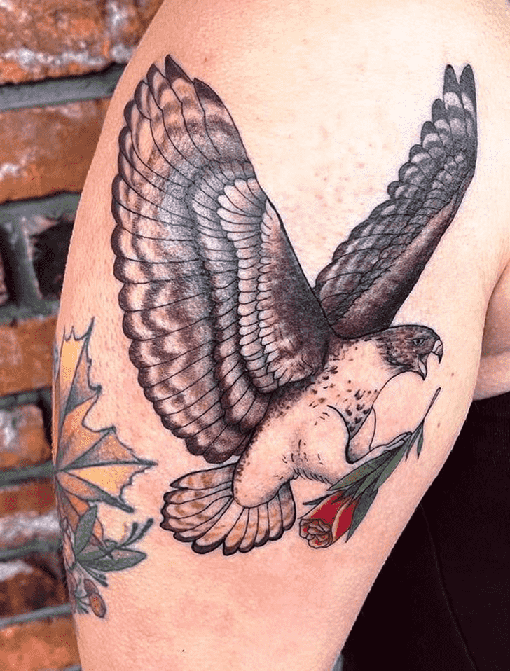 Hawk Tattoo Portrait