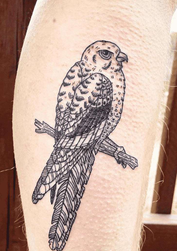 Hawk Tattoo Photo