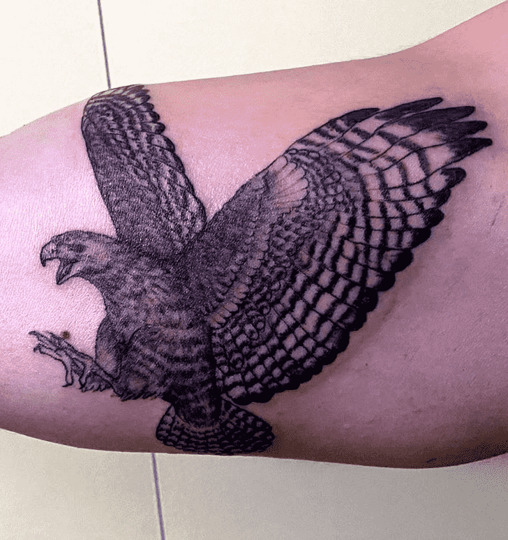 Hawk Tattoo Photos