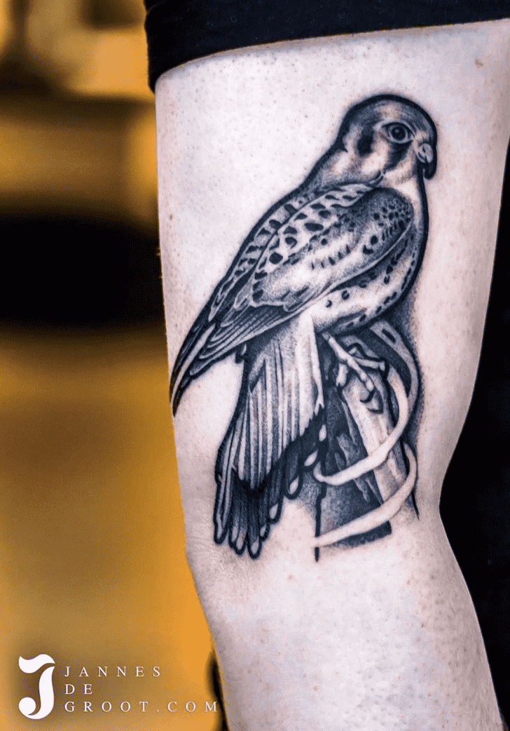 Hawk Tattoo Photograph