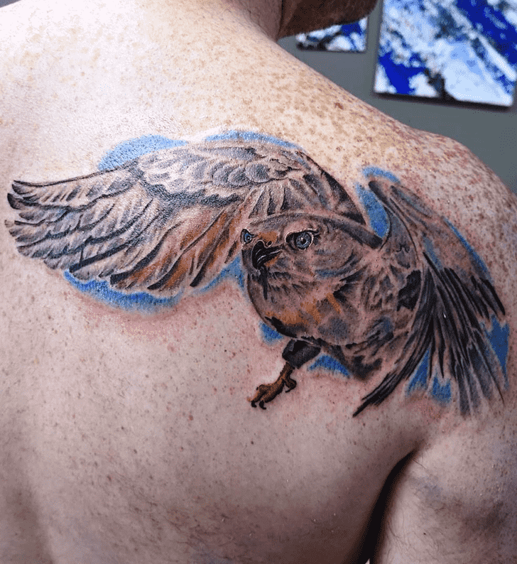 Hawk Tattoo Portrait