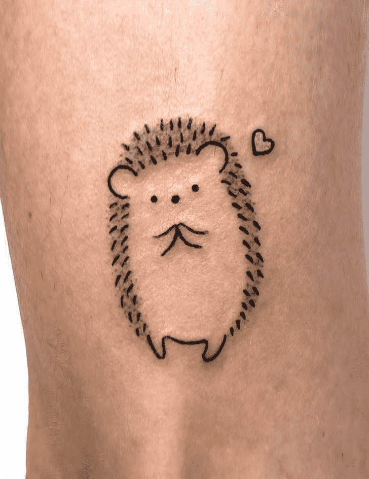 Hedgehog Tattoo Photos