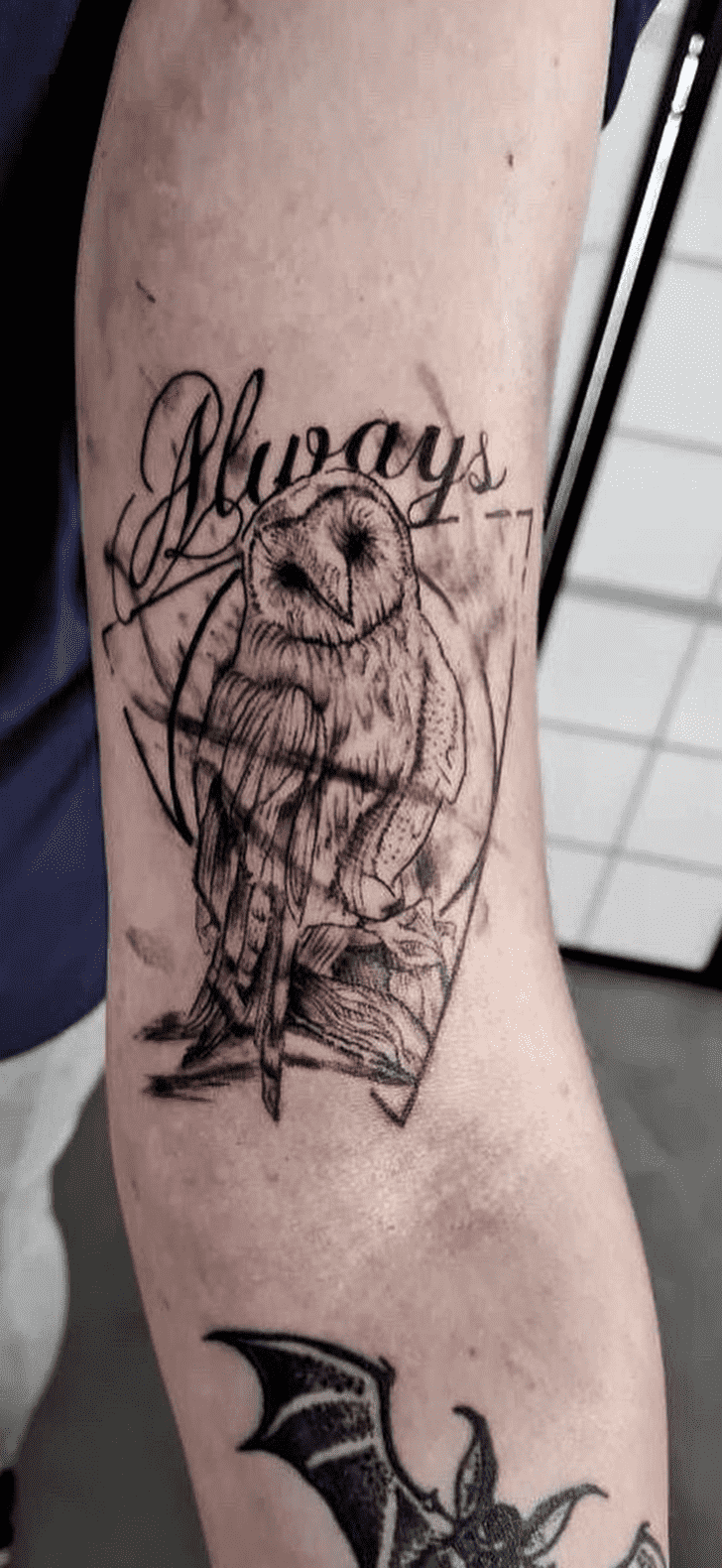 Hedwig Tattoo Picture