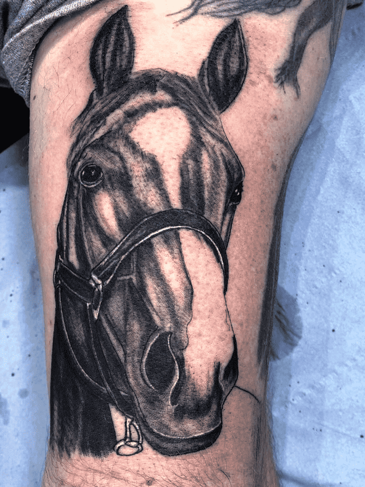 Horse Tattoo Photos