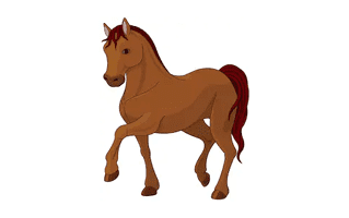 Horse Tattoo Ideas