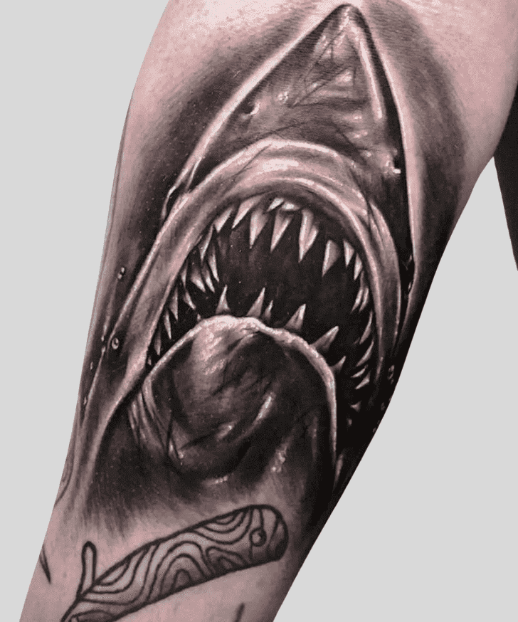 Jaws Tattoo Photos