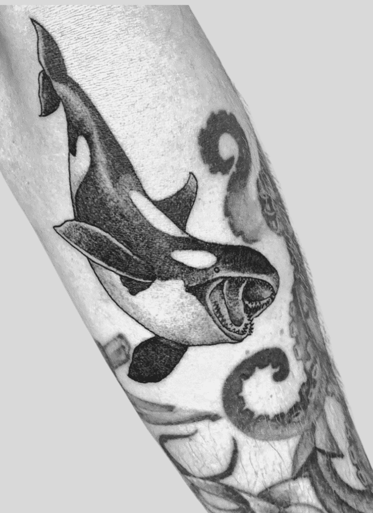 Jaws Tattoo Photo