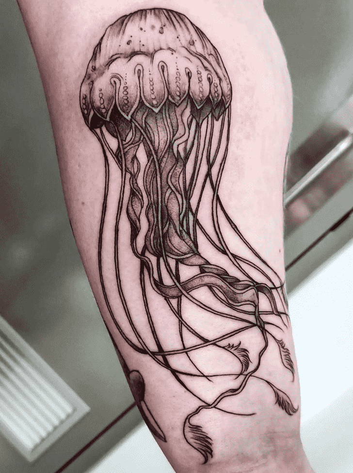 Jellyfish Tattoo Photos