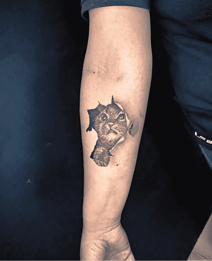 Kitty Tattoo Photograph