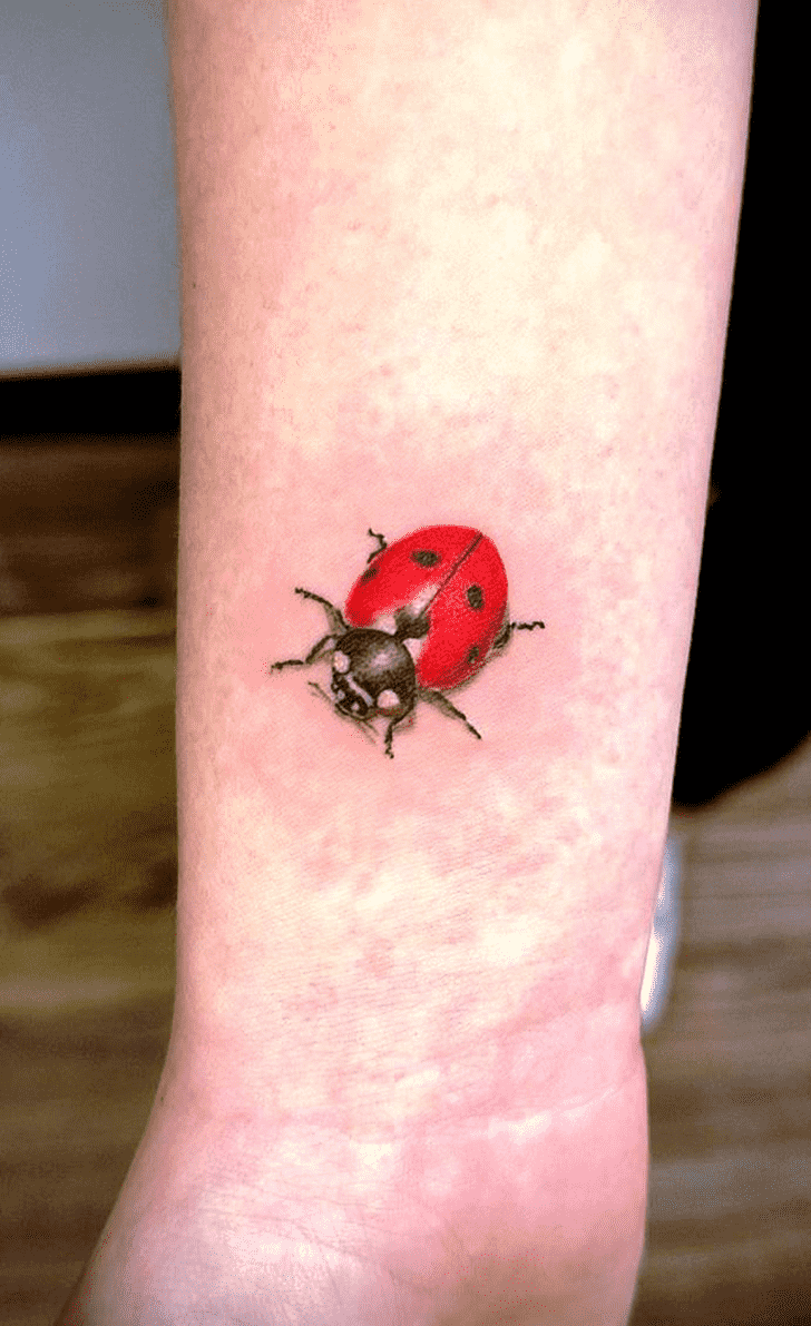 Ladybugs Tattoo Picture