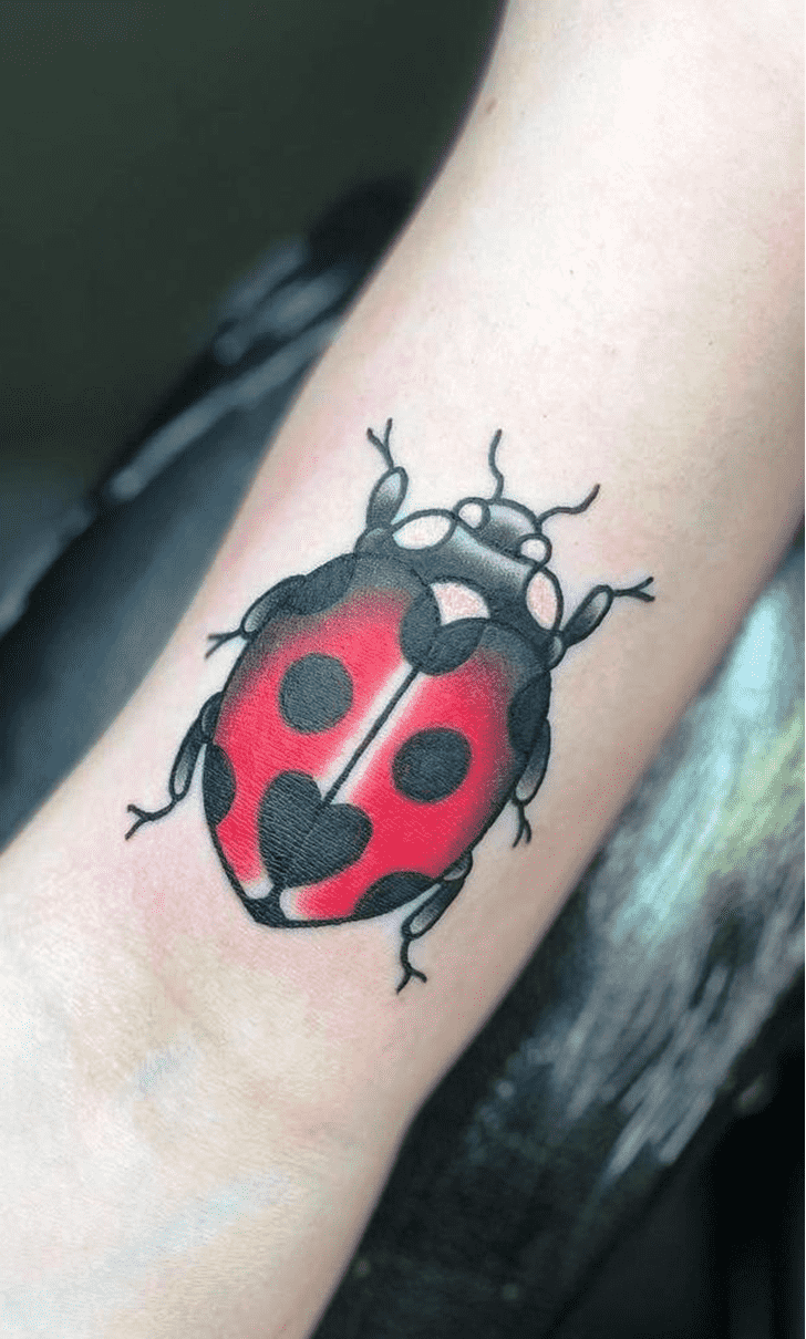 Ladybugs Tattoo Photos