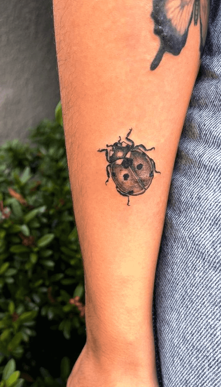 Ladybugs Tattoo Snapshot