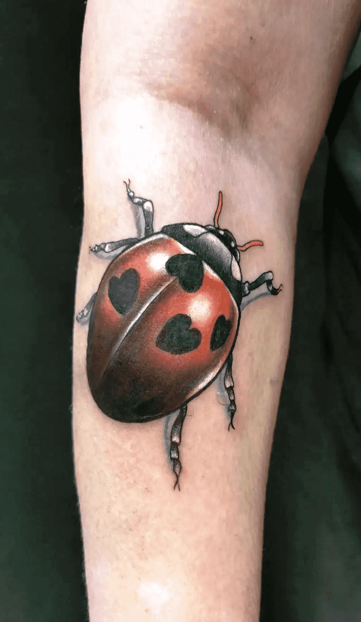 Ladybugs Tattoo Design Image