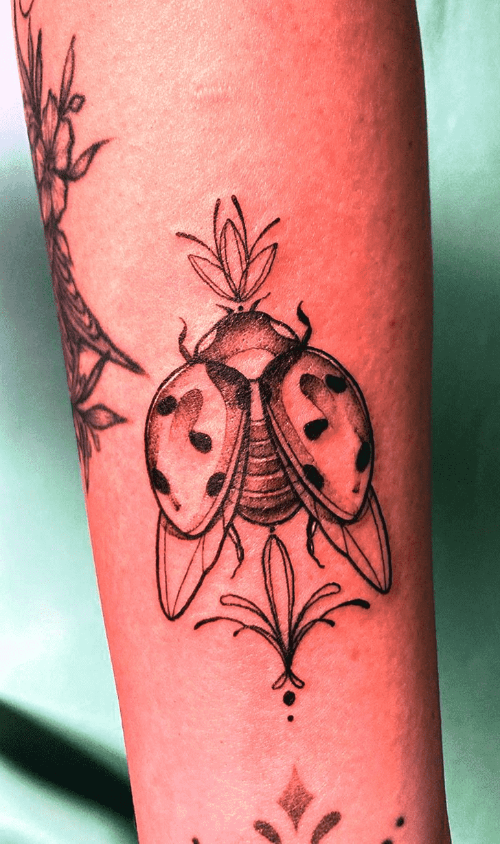 Ladybugs Tattoo Photo