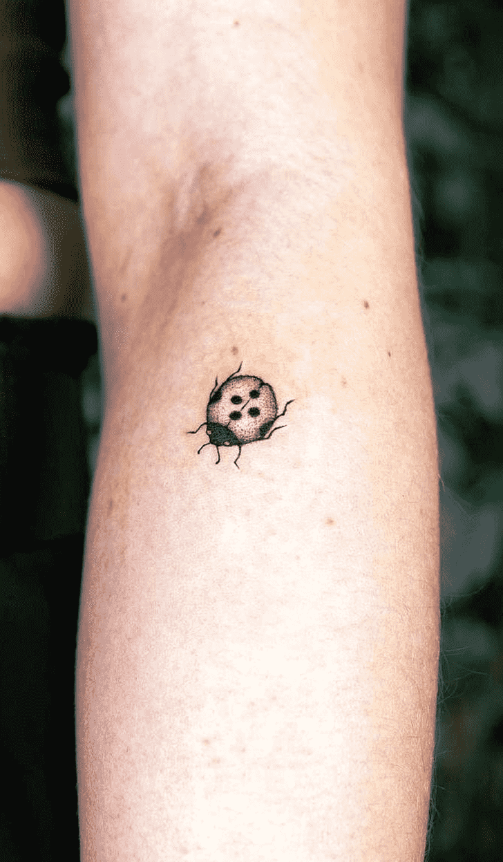 Ladybugs Tattoo Figure