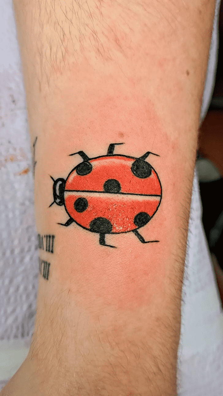 Ladybugs Tattoo Ink