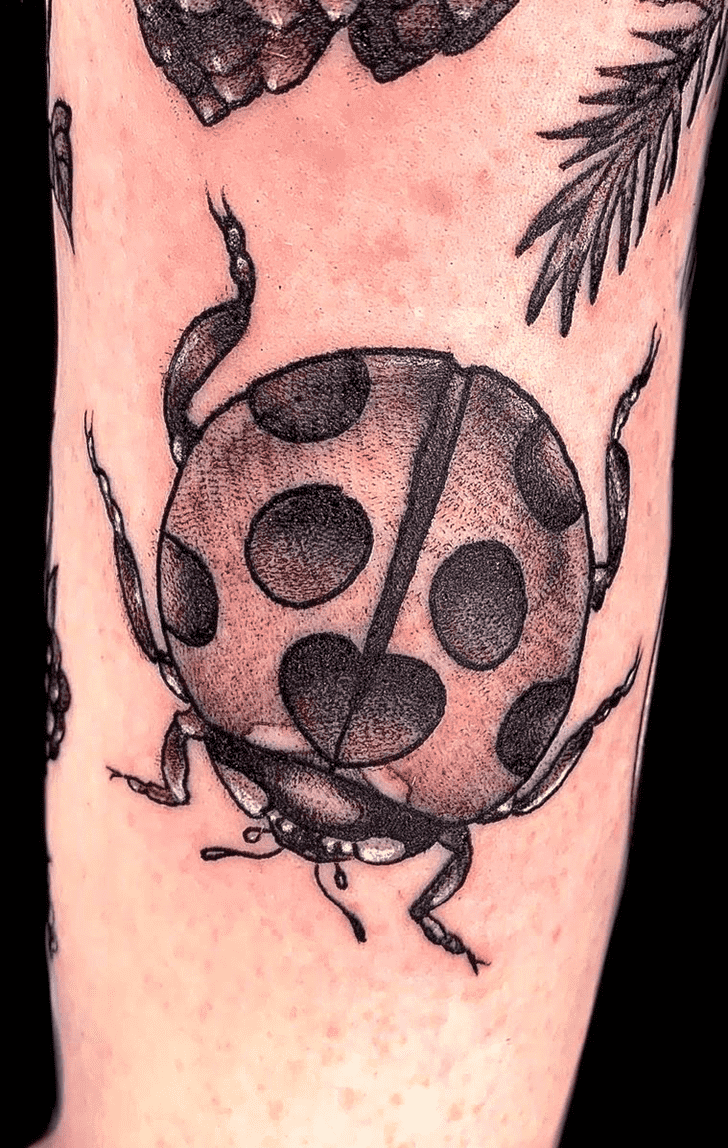 Ladybugs Tattoo Photo