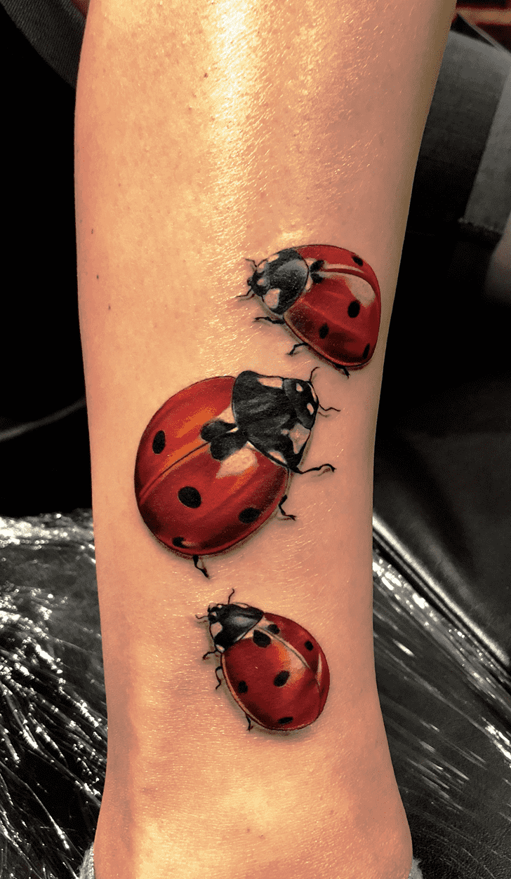 Ladybugs Tattoo Ink