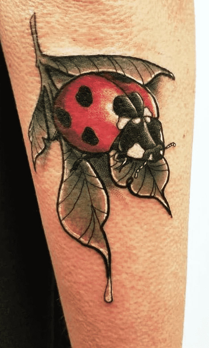 Ladybugs Tattoo Shot