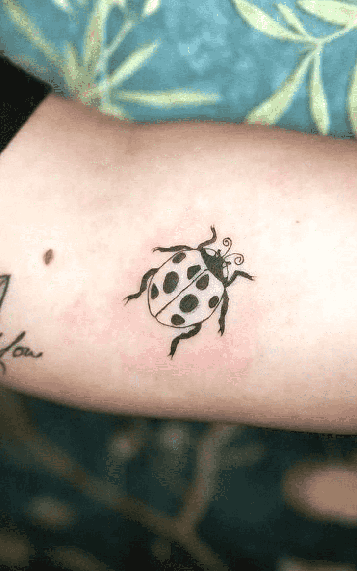 Ladybugs Tattoo Design Image