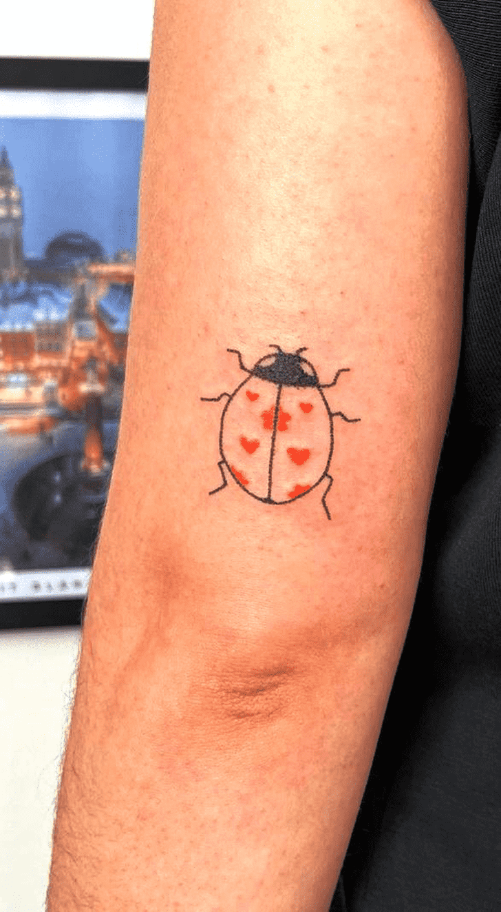 Ladybugs Tattoo Photograph