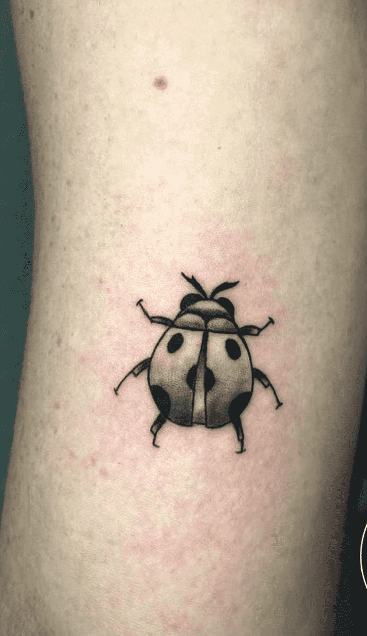 Ladybugs Tattoo Ink