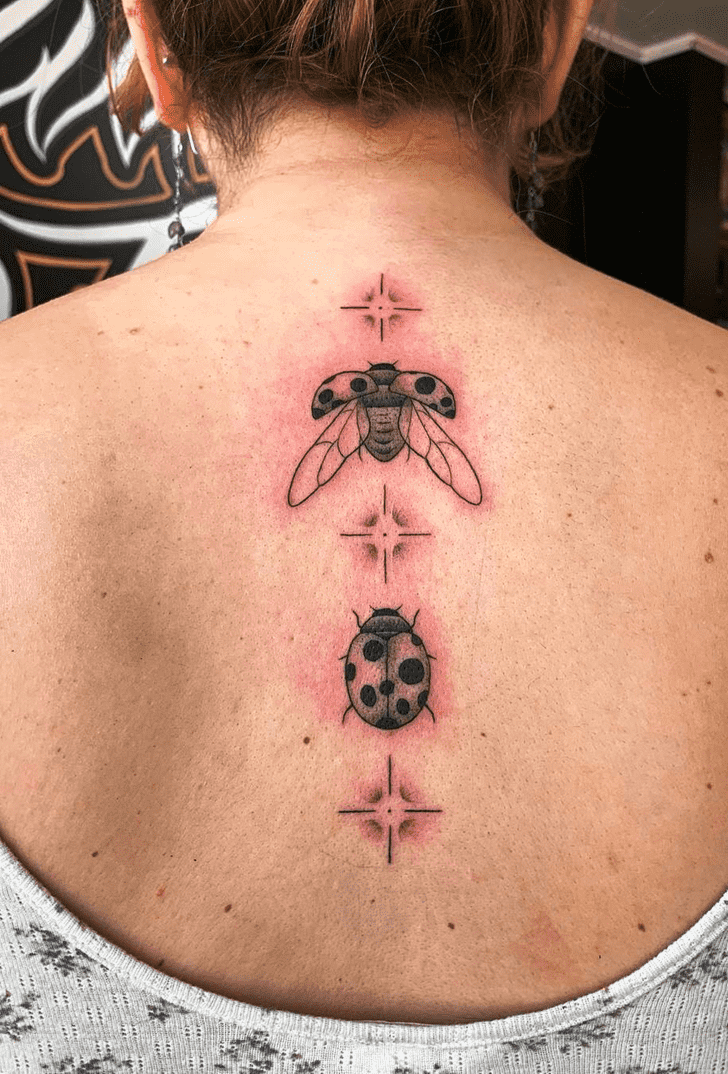 Ladybugs Tattoo Snapshot