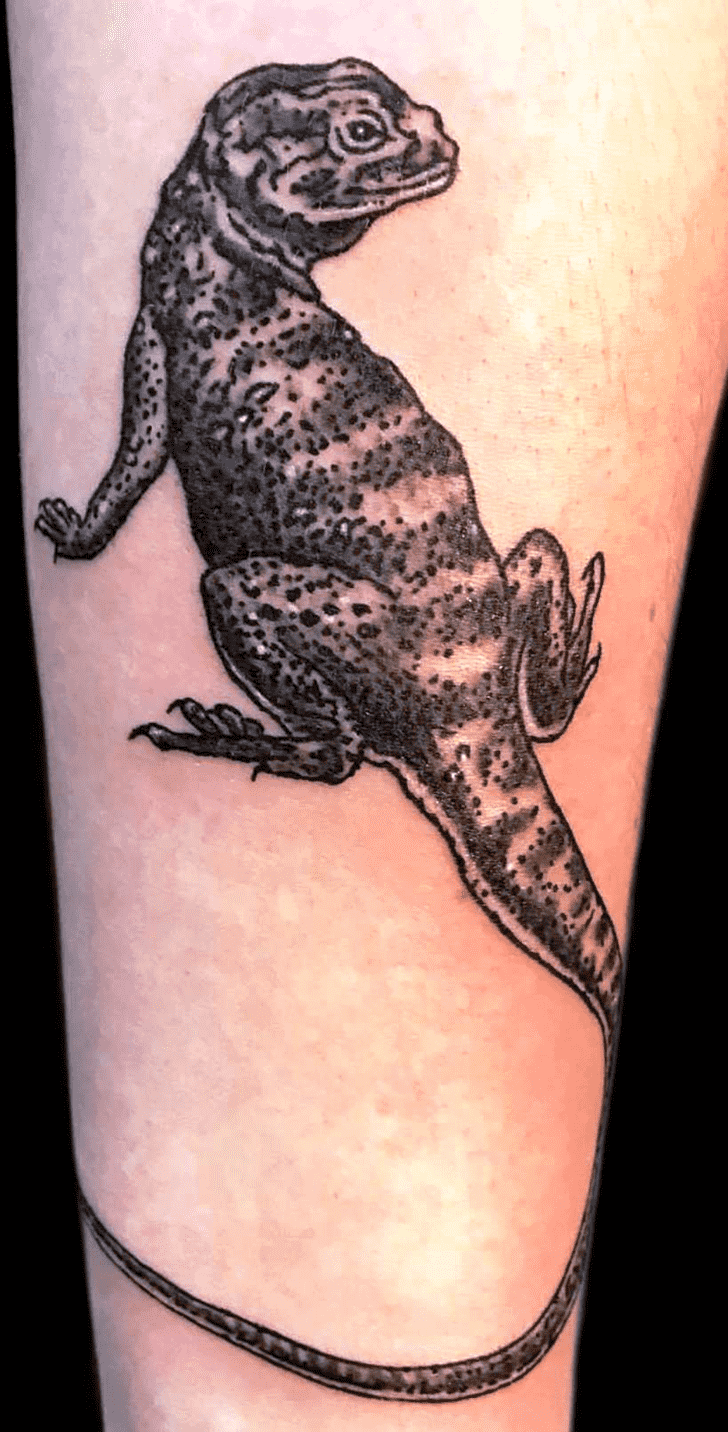 Lizard Tattoo Shot