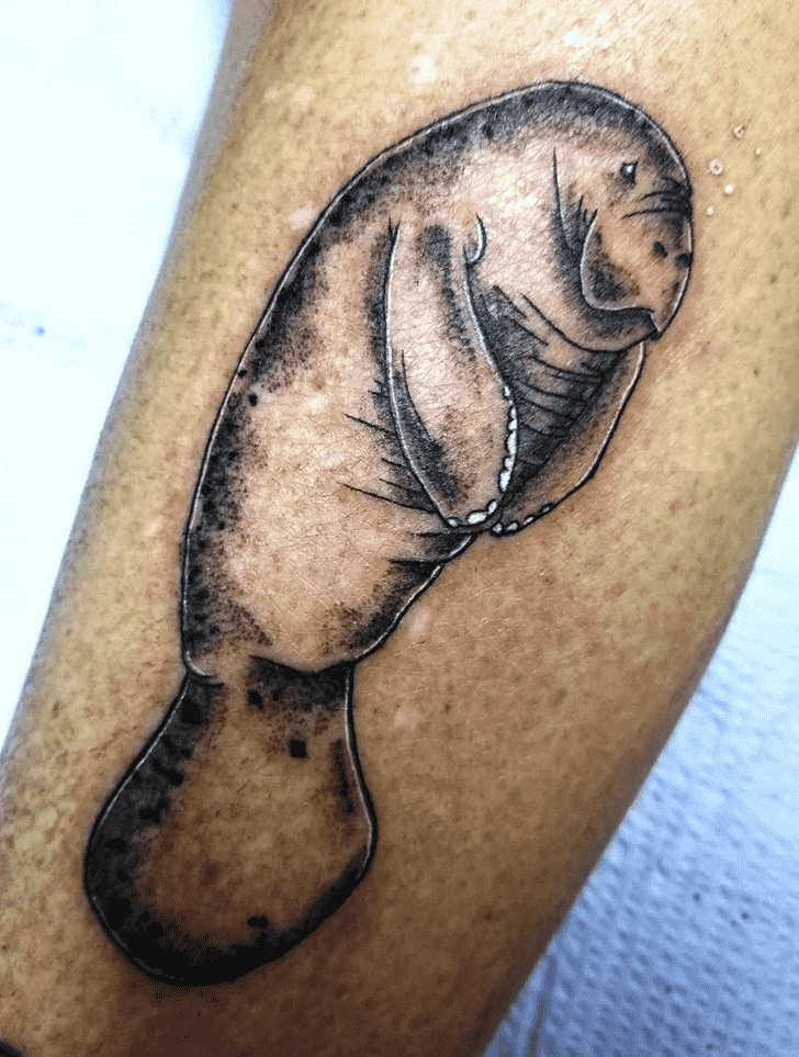 Manatee Tattoo Photos