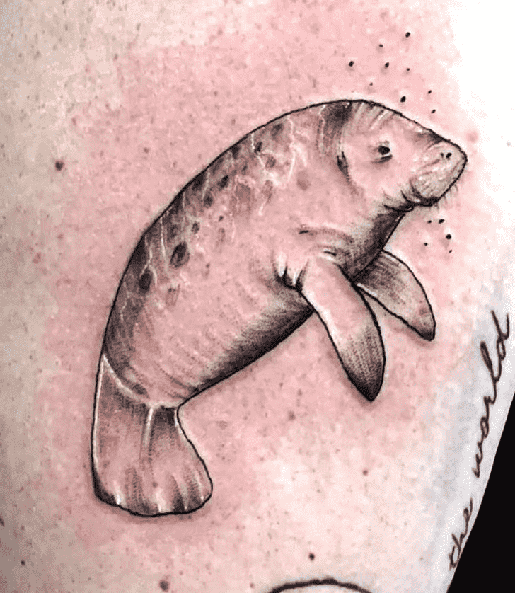 Manatee Tattoo Photograph